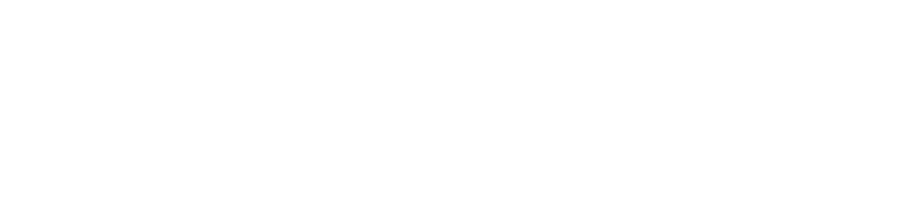 I World Network